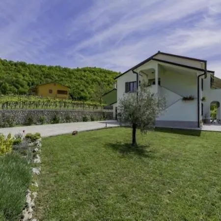 House Mario *
